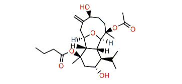 Pachycladin B